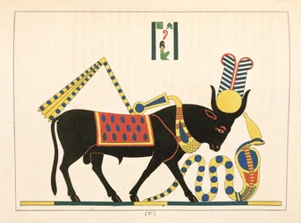 Az Apis bika, illusztráció az egyiptomi panteonból: Jean-Francois Champollion mitológiai szereplőinek gyűjteménye az ókori Egyiptomból, megjelent 1823-25